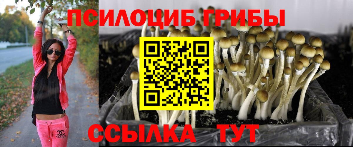 Псилоцибиновые грибы ЛСД Краснокаменск