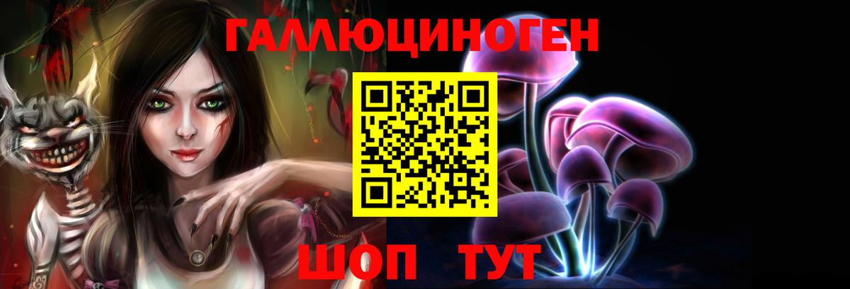 продажа наркотиков  Вход с VPN  Псилоцибиновые грибы GOLDEN TEACHER  Краснокаменск  Псилоцибиновые грибы прущие грибы 